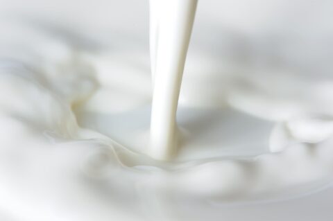 What is a lactose ? 